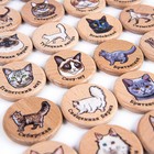 Мини-мемори «Кошки», в подарочном тубусе - фото 7828013