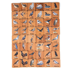 Мемори «Птицы», в картонной коробочке - фото 320467101