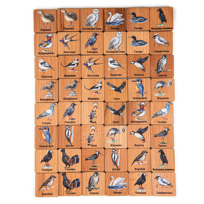 Мемори «Птицы», в картонной коробочке - Фото 1