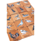 Мемори «Птицы», в картонной коробочке - фото 3772908