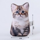 Антистресс игрушка «Котик Сибиряк» - Фото 2