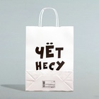 Пакет подарочный бумажный «Чёт несу», 24×14×28 см - Фото 3