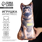 Антистресс игрушка, собака «Номер 1» - Фото 1