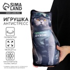 Антистресс игрушка, кот «Сильному духом» - Фото 1