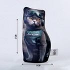 Антистресс игрушка, кот «Сильному духом» - Фото 2