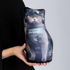 Антистресс игрушка, кот «Сильному духом» - Фото 6