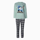 Комплект домашний женский (джемпер и брюки), цвет зеленый, размер 50 - фото 23473133