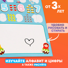 Магнитная доска «Знания», 44 магнита, 2 × 18 × 25 см - Фото 2