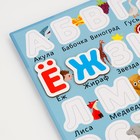 Магнитная доска «Знания», 44 магнита, 2 × 18 × 25 см - Фото 7