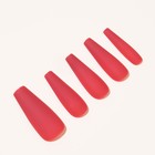 Накладные ногти, 24 шт, форма балерина, цвет матовый красный - Фото 2