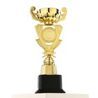 Кубок 182A, наградная фигура, золото, подставка пластик, 29 × 12.5 × 9.5 см - Фото 4