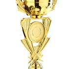 Кубок 182A, наградная фигура, золото, подставка пластик, 29 × 12.5 × 9.5 см - Фото 6