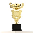 Кубок 182B, наградная фигура, золото, подставка пластик, 24 × 12 × 8,5 см. - Фото 1