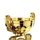 Кубок 182B, наградная фигура, золото, подставка пластик, 24 × 12 × 8,5 см. - Фото 5