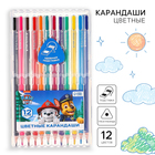 Цветные карандаши, 12 цветов, трехгранные, Щенячий патруль - фото 66995186