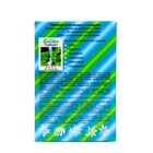 Золотая пастилка для рассасывания, с сахаром, 12 шт по 1,9 г - фото 23311915