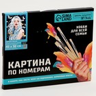 Картина по номерам на холсте с подрамником с серебряной краской «Девушка в мечтах», 40×50 см - Фото 5