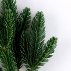 Еловая ветка зелёная, размер: 41 × 25 см, 1 шт. - фото 37465254