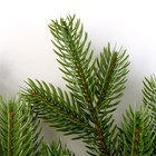 Еловая ветка зелёная, размер: 47×31 см, 1 шт. - фото 57986892