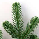 Еловая ветка зелёная размер 42*24, 1 шт. - фото 806390120 Еловая ветка зелёная размер 42*24, 1 шт. - фото 806390120