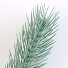 Литая веточка, голубая, 22 × 4 см, набор 20 шт. - фото 23082119