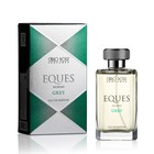 Вода парфюмированная мужская Carlo Bossi Eques Grey, 100 мл - фото 307154238