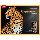 Скретчинг, 30 × 40 см, Животные «Леопард» - фото 4378951