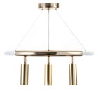 Светильник BayerLux "Виати" LED 57Вт золото 50х50х14-100 см - фото 23173514