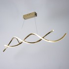 Люстра с ПДУ "Диодора" LED 100Вт 3000-6000Вт золото 98х140х40-140см BayerLux - фото 23173742