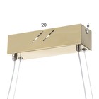 Люстра с ПДУ "Диодора" LED 100Вт 3000-6000Вт золото 98х140х40-140см BayerLux - фото 23173748