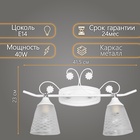 Светильник бра настенный BayerLux «Богемия», 2×Е14, 40 Вт, белый, 41.5×23×2 3 см - Фото 4