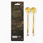 Ложки парные с подвесом «Самой прекрасной», 2 шт., 3×15 см - Фото 6