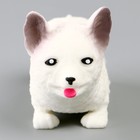 Мялка антистресс тянучка «Песики» с наклейками МИКС, с песком - фото 23564338