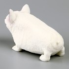 Мялка антистресс тянучка «Песики» с наклейками МИКС, с песком - фото 23626368