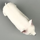 Мялка антистресс тянучка «Песики» с наклейками МИКС, с песком - фото 23626369