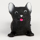 Мялка антистресс тянучка «Песики» с наклейками МИКС, с песком - фото 23082470