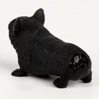 Мялка антистресс тянучка «Песики» с наклейками МИКС, с песком - фото 23082471