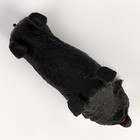 Мялка антистресс тянучка «Песики» с наклейками МИКС, с песком - фото 23082472