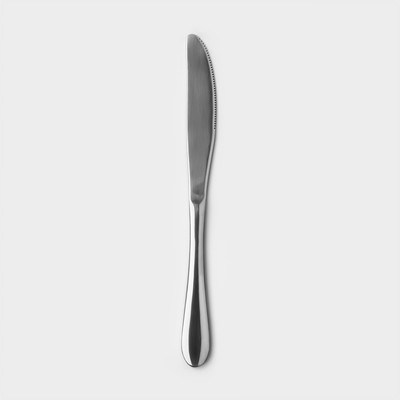 Нож столовый из нержавеющей стали, длина 23 см, цвет серебряный