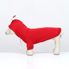 Костюм для животных "Дед Мороз", размер XS, красный - фото 7830491
