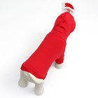 Костюм для животных "Дед Мороз", размер XS, красный - фото 7830492