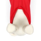 Костюм для животных "Дед Мороз", размер XS, красный - фото 7830494