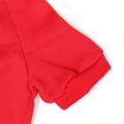 Костюм для животных новогодний «Дед Мороз», размер XS, красный - Фото 10