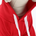 Костюм для животных новогодний «Дед Мороз», размер S, красный - Фото 6