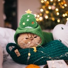 Костюм для животных новогодний «Ёлка», размер S, зелёный - Фото 12