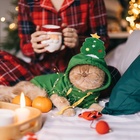 Костюм для животных новогодний «Ёлка», размер S, зелёный - Фото 16