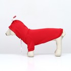 Костюм для животных "Дед Мороз", размер M, красный - фото 7830531