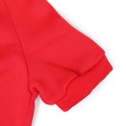 Костюм для животных новогодний «Дед Мороз», размер M, красный - Фото 10