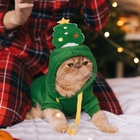 Костюм для животных новогодний «Ёлка», размер L, зелёный - Фото 10