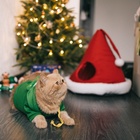 Костюм для животных новогодний «Ёлка», размер L, зелёный - Фото 12